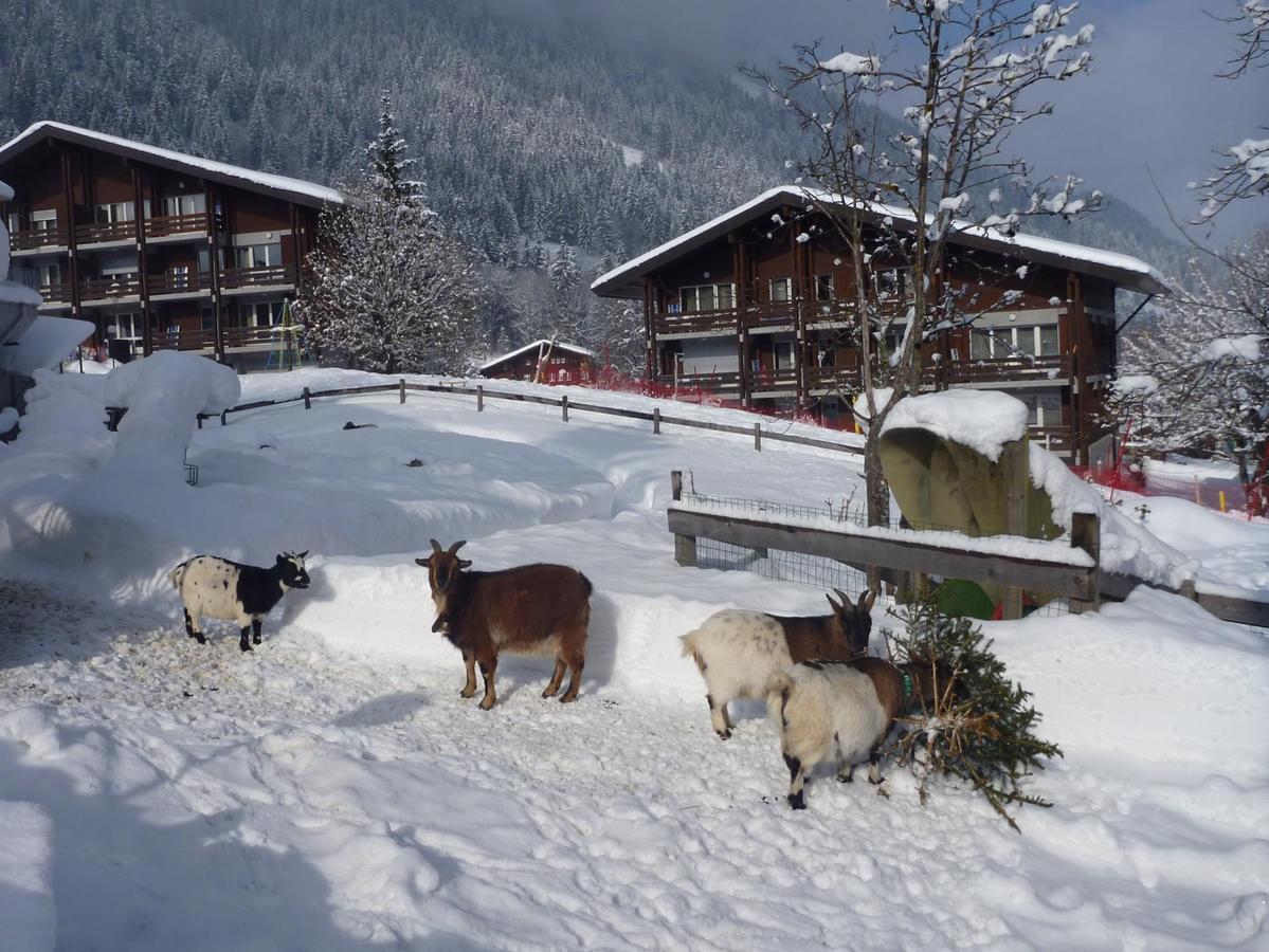 Reka-Feriendorf Lenk Hotel Buitenkant foto